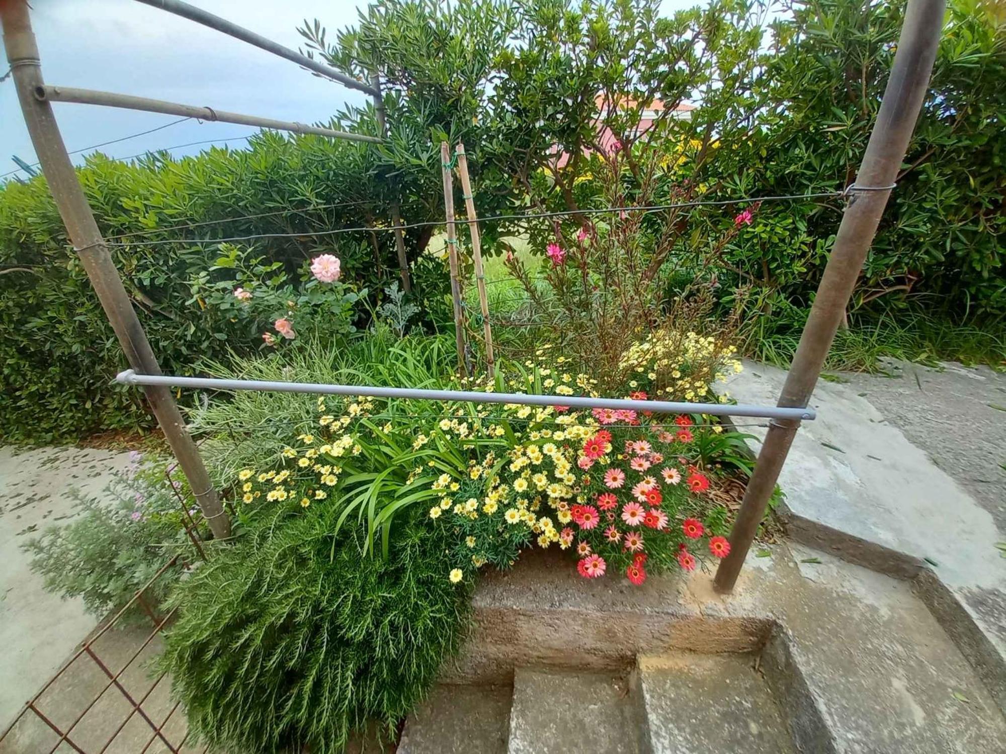 Apartments In Rab - Insel Rab 39950 Mundanije Εξωτερικό φωτογραφία