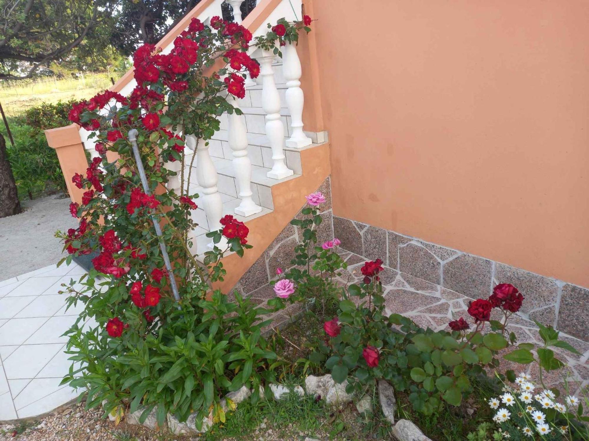 Apartments In Rab - Insel Rab 39950 Mundanije Εξωτερικό φωτογραφία