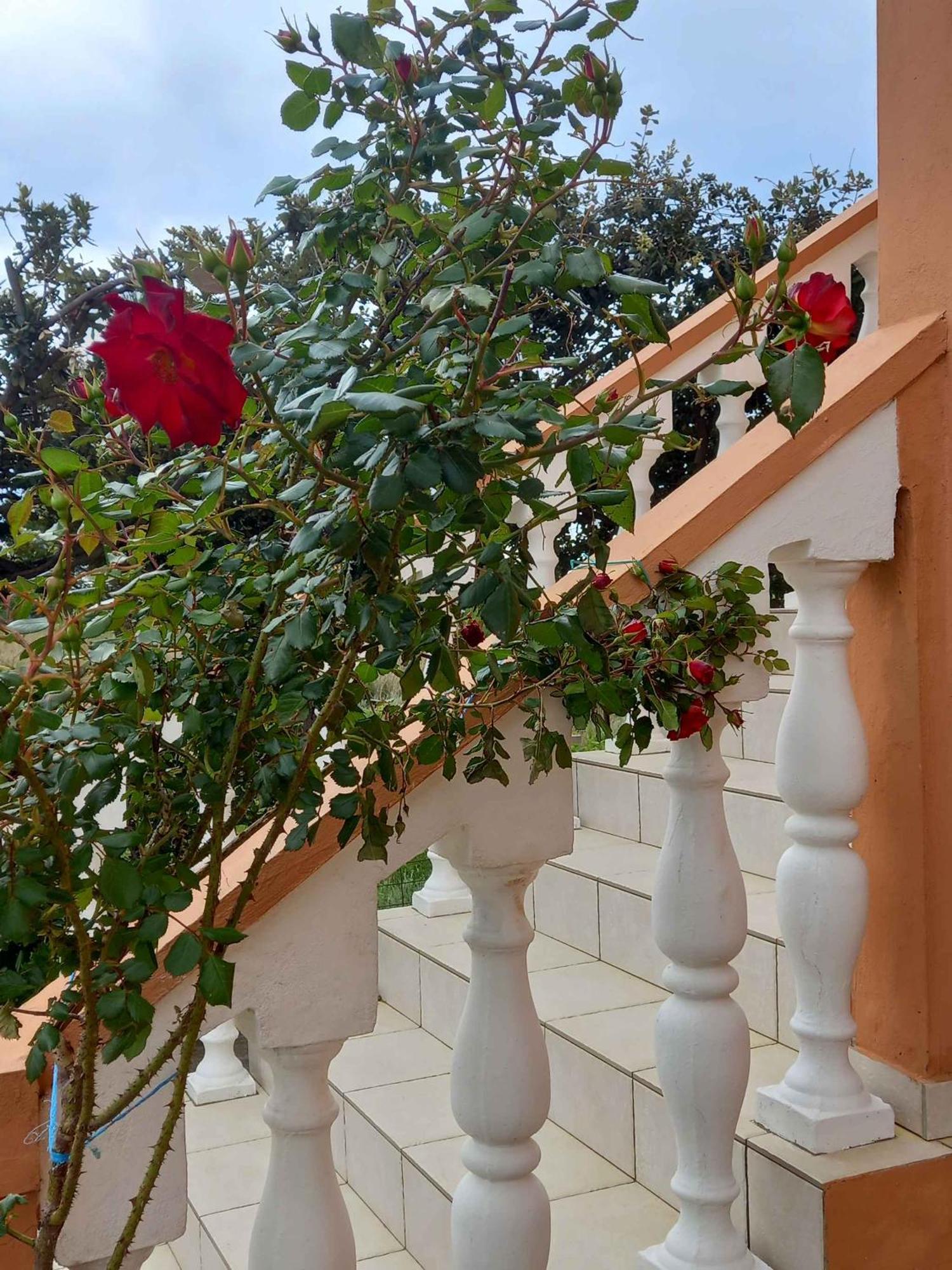 Apartments In Rab - Insel Rab 39950 Mundanije Εξωτερικό φωτογραφία