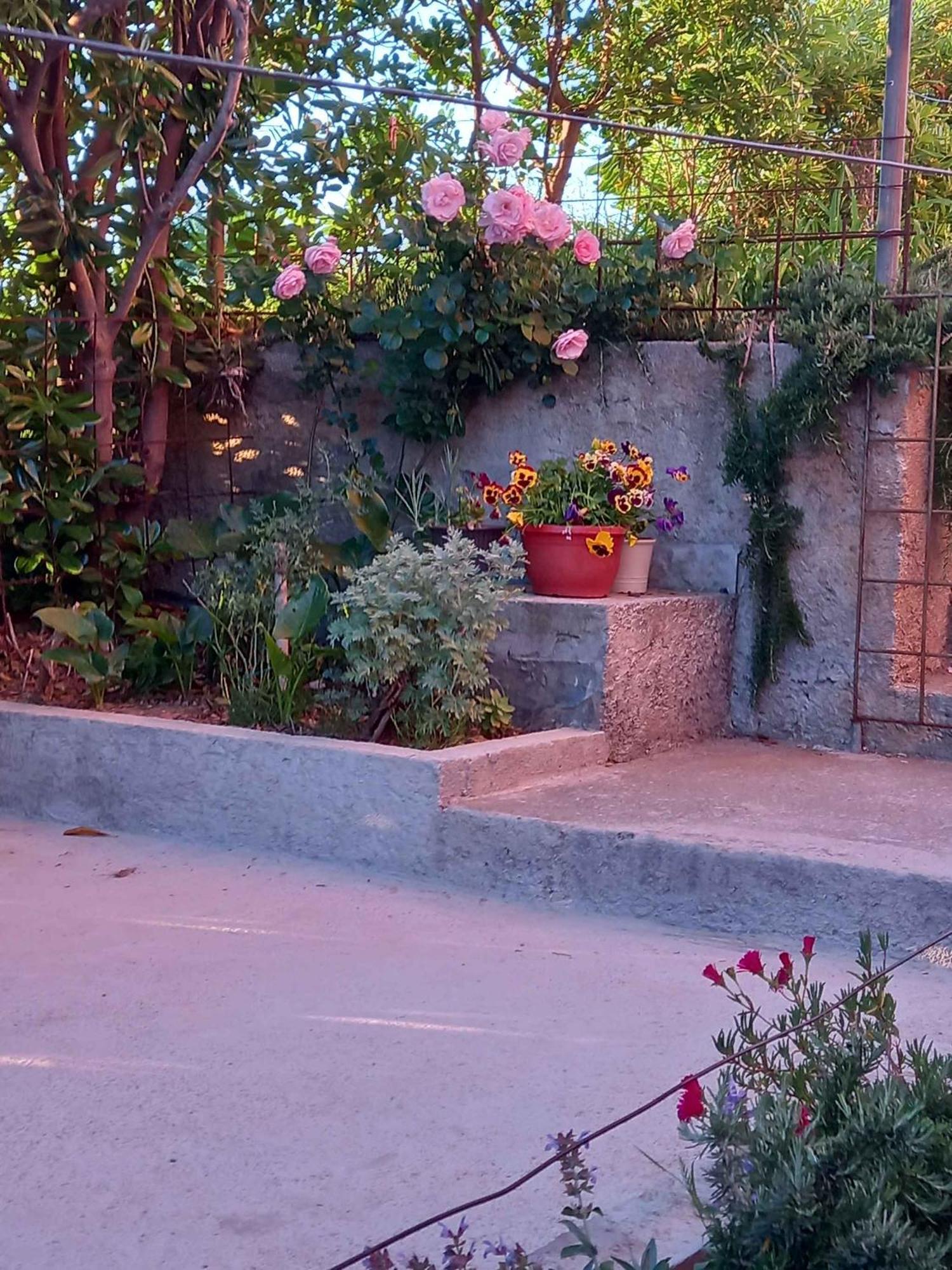 Apartments In Rab - Insel Rab 39950 Mundanije Εξωτερικό φωτογραφία